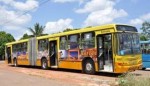 ONIBUS