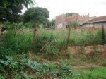 terrenos