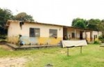 escola indigena