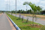 amajari
