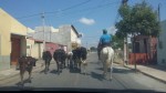 transito 1