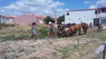 20150904_102545