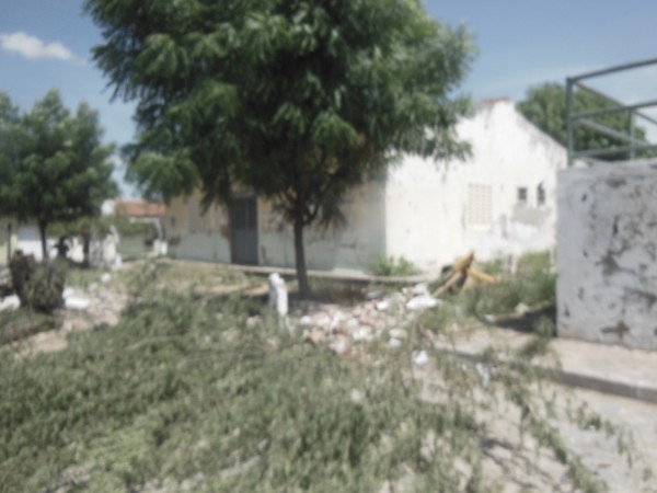 DSCN8183