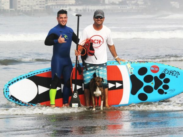 cachorro-surf-3