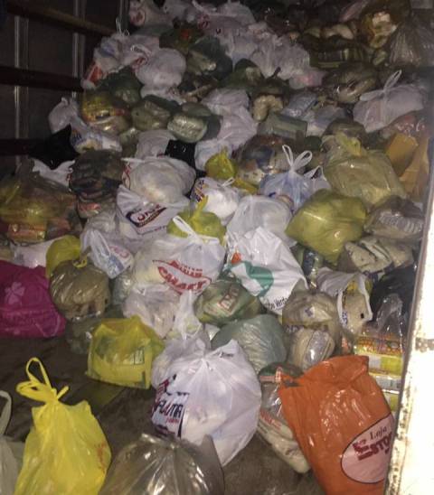 shoe-alimentos