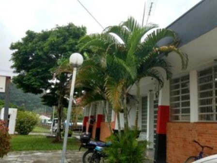 delegacia iguape