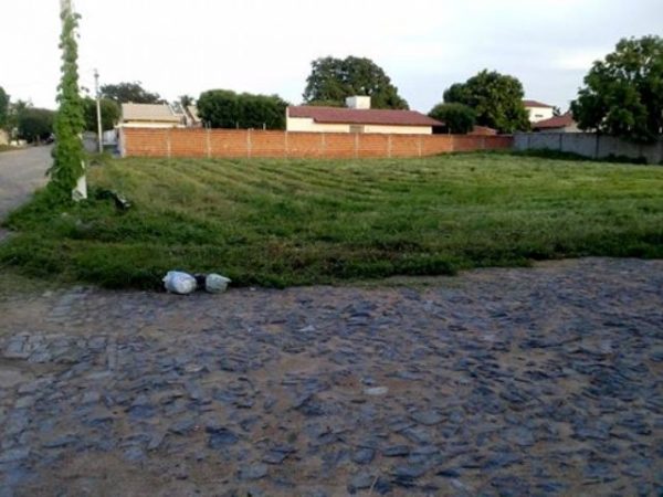 terreno