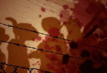 Pastoral da Terra: 65 pessoas foram assassinadas em conflitos no campo em 2017