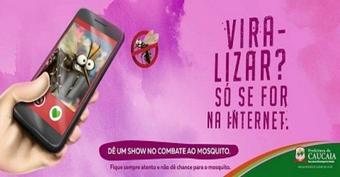 dengue caucaia 1