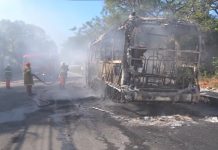 Série de ataques criminosos chega ao 3º dia com 14 ônibus incendiados na Grande Fortaleza