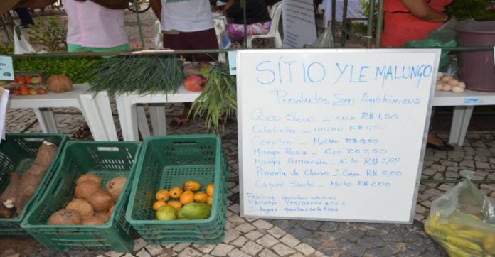 feira cumbuco