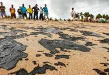 Enquanto Nordeste vivencia grave desastre ambiental, Governo Federal se mostra apático e omisso, denuncia Cida Ramos.