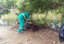 Mutirão retira meia tonelada de resíduos do rio Ceará