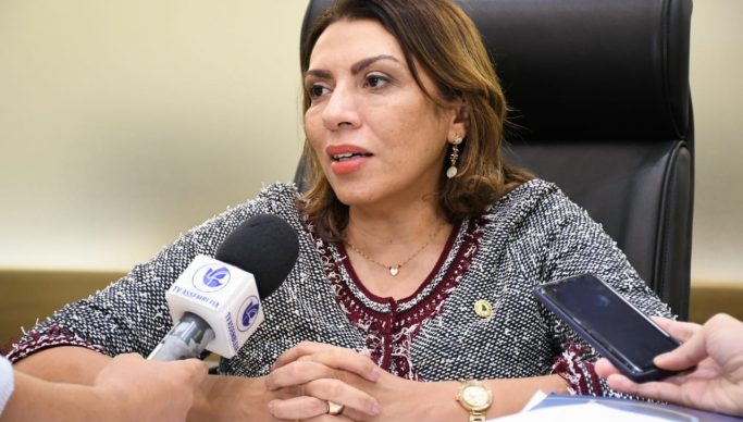 Deputada Cida Ramos apresenta conjunto de ações de enfrentamento ao coronavírus para o Governo do Estado