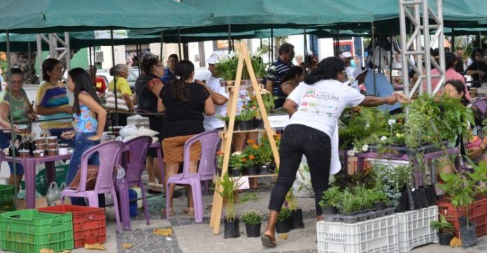 I Feira da Agricultura Familiar de 2020 acontece nesta sexta(6) em Caucaia