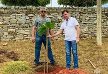 Várzea Alegre 150 anos: Secretaria de Meio Ambiente lança o projeto “Árvore Dá Vida”