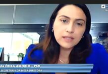 Deputada Érika Amorim debate feminicídio em encontro virtual do PSD Mulher