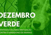 Projeto Dezembro Verde contra o abandono e maus tratos de animais é apresentado na Assembleia Legislativa
