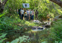 SEMANA DO MEIO AMBIENTE: VÁRZEA ALEGRE CRIA LEI DE PRESERVAÇÃO DE FONTES E INCENTIVA TURISMO ECOLÓGICO