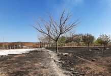 SECRETÁRIO DE MEIO AMBIENTE ALERTA POPULAÇÃO SOBRE QUEIMADAS IRREGULARES