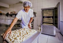 Com mais de 10.500 novos postos de trabalho, geração de empregos no Ceará cresce em todos os setores em setembro