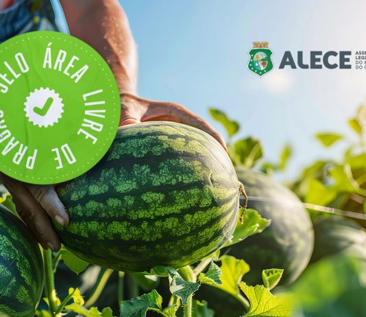 Deputados celebram o reconhecimento de áreas livres de pragas no Ceará