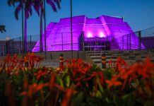 Alece apoia campanha Fevereiro Roxo e ilumina prédios ao longo do mês