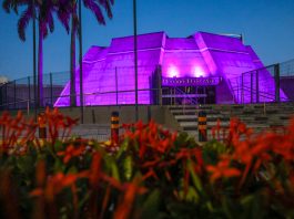 Alece apoia campanha Fevereiro Roxo e ilumina prédios ao longo do mês