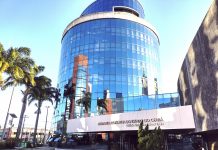 Sessão solene na Alece homenageia Conselho de Mulheres Empreendedoras e Inspiradoras