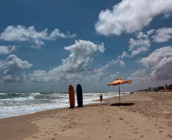 WhatsApp-Image-2025-12-29-at-16.23.17-600x488