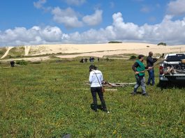 Agefis remove quase 2 km de cercas instaladas irregularmente em dunas da Sabiaguaba