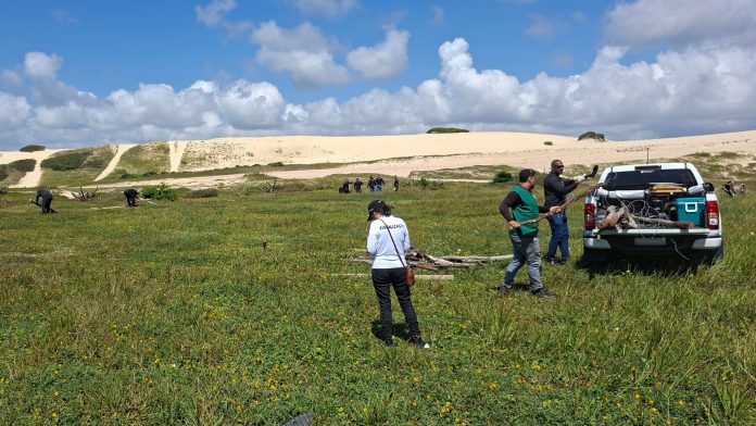 Agefis_0618_Remocao_Sabiaguaba