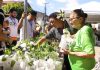 Caucaia conquista certificação Selo Município Verde do Ceará 2026.