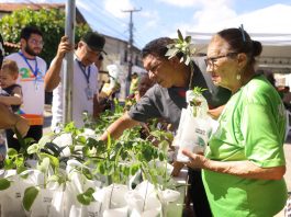 Caucaia conquista certificação Selo Município Verde do Ceará 2026.