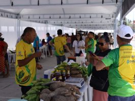 AgroCaucaia será realizada nesta sexta-feira (3) na Lagoa do Tabapuá com programação cultural gratuita