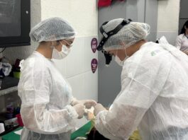 Prefeitura de Caucaia investe R$ 1,86 milhão na valorização de servidores de nível superior da Saúde
