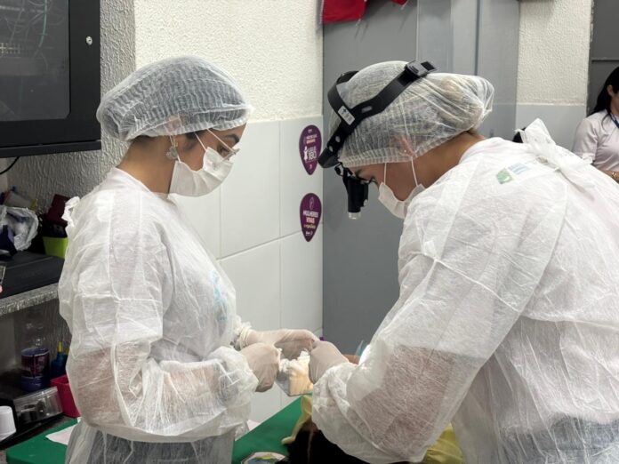 Capa_2345 (1)